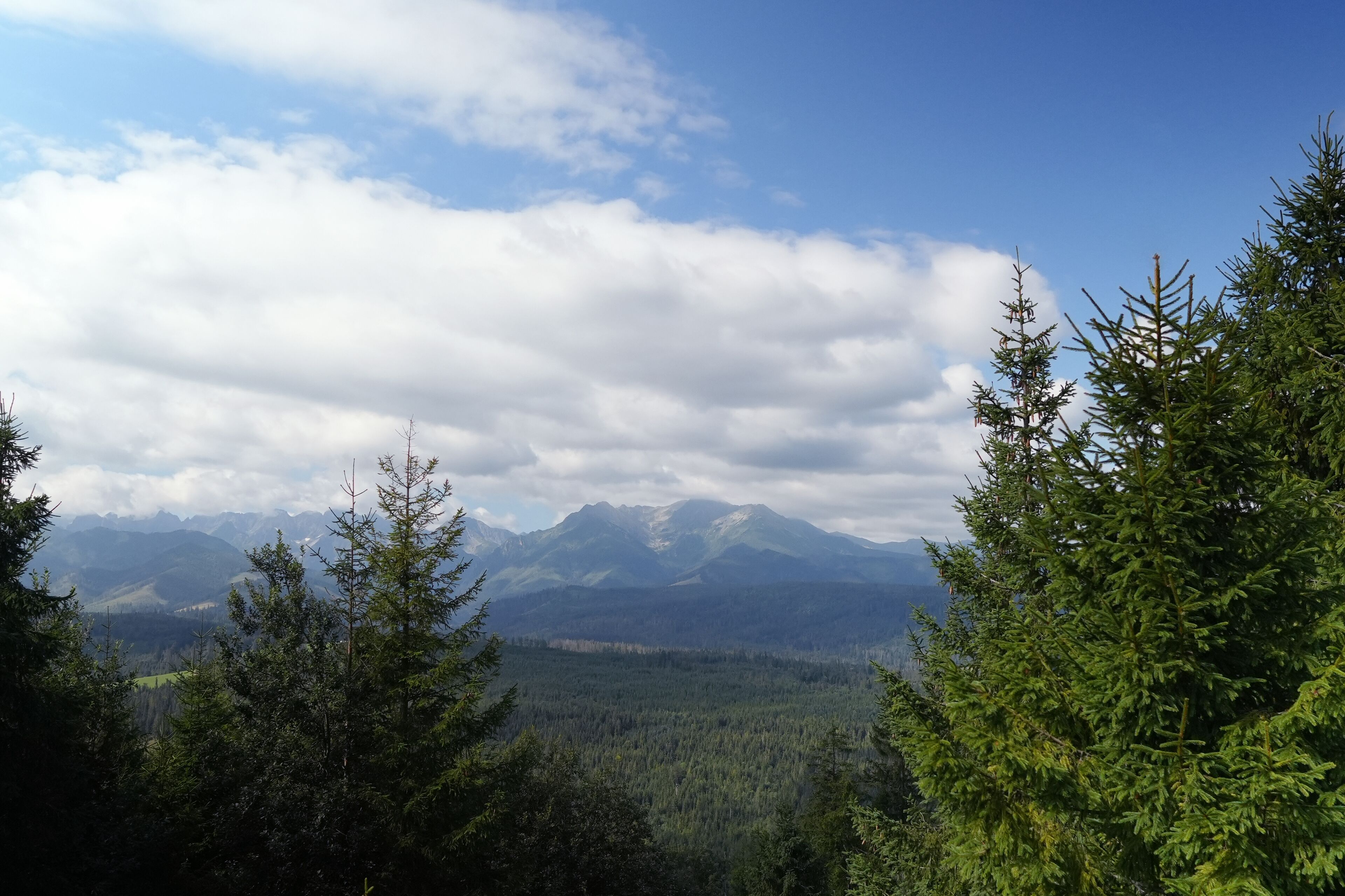 Un paysage montagneux, avec de vastes forêts et un ciel dégagé.