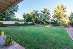 Un césped cuidado con una variedad de plantas y árboles, incluyendo palmeras y arbustos, en un jardín paisajista.