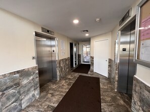 Stylish corridor with a brown carpet and two elevators.