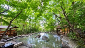 A serene outdoor setting with a clear water stream, wooden structures, and lush greenery. - Nihon No Ashitaba (Yufu)