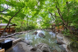 Hot springs - Nihon No Ashitaba (Yufu)