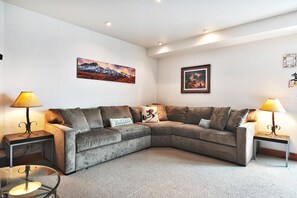 Smart TV, chimenea, reproductor de DVD y libros 