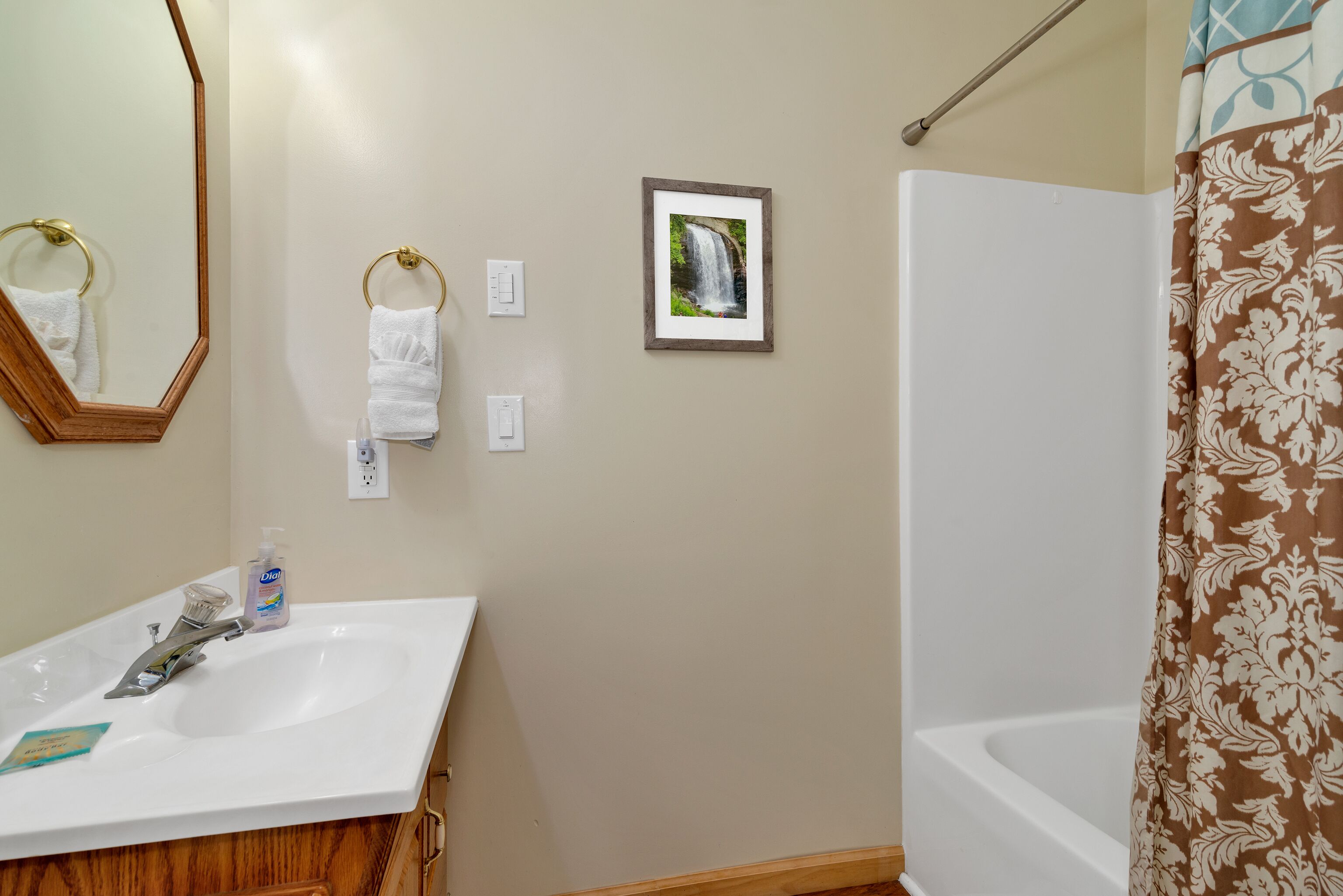 Une salle de bain avec un lavabo blanc, un miroir, un tableau encadré représentant une cascade et un rideau de douche à motifs floraux.