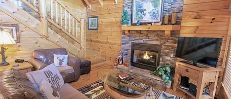 Smart TV, fireplace, DVD player, video library