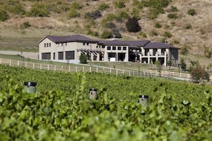 A large, modern building with multiple garage doors, situated in a vineyard with a white fence in the foreground. - Gibbston House (Gibbston)