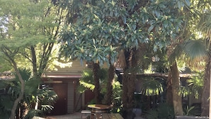 Un área de patio al aire libre con mesas y bancos de madera, rodeada de exuberante follaje y árboles.