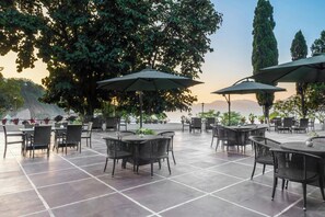 Restaurant - The Fern Surya Resort Dharampur, Kasauli Hills, Series by Marriott (Kasauli)