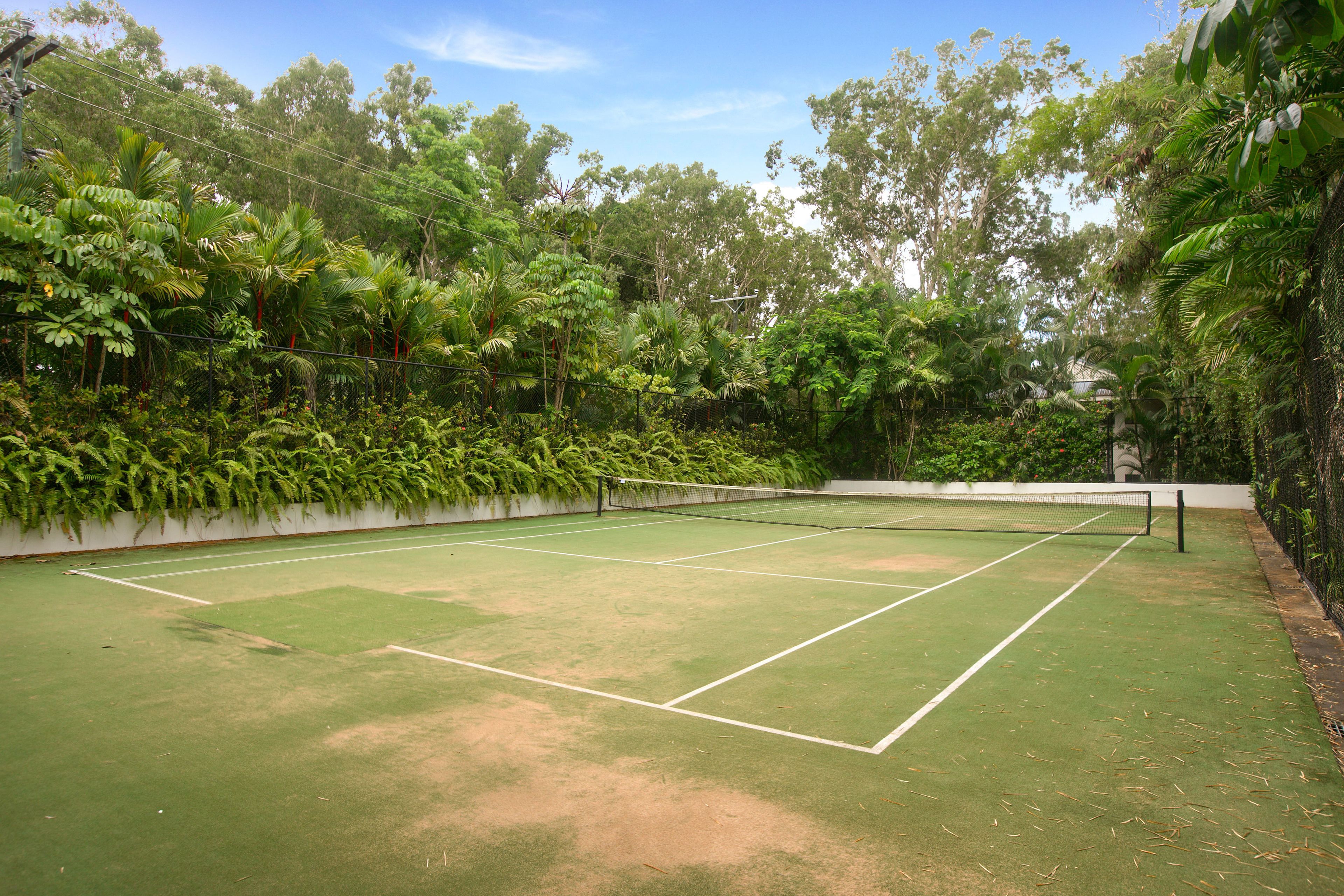Un court de tennis en plein air, entouré d’une végétation tropicale luxuriante.