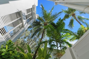 Terrace/patio - Elysium Private Accommodation at The Beach Club (Palm Cove)