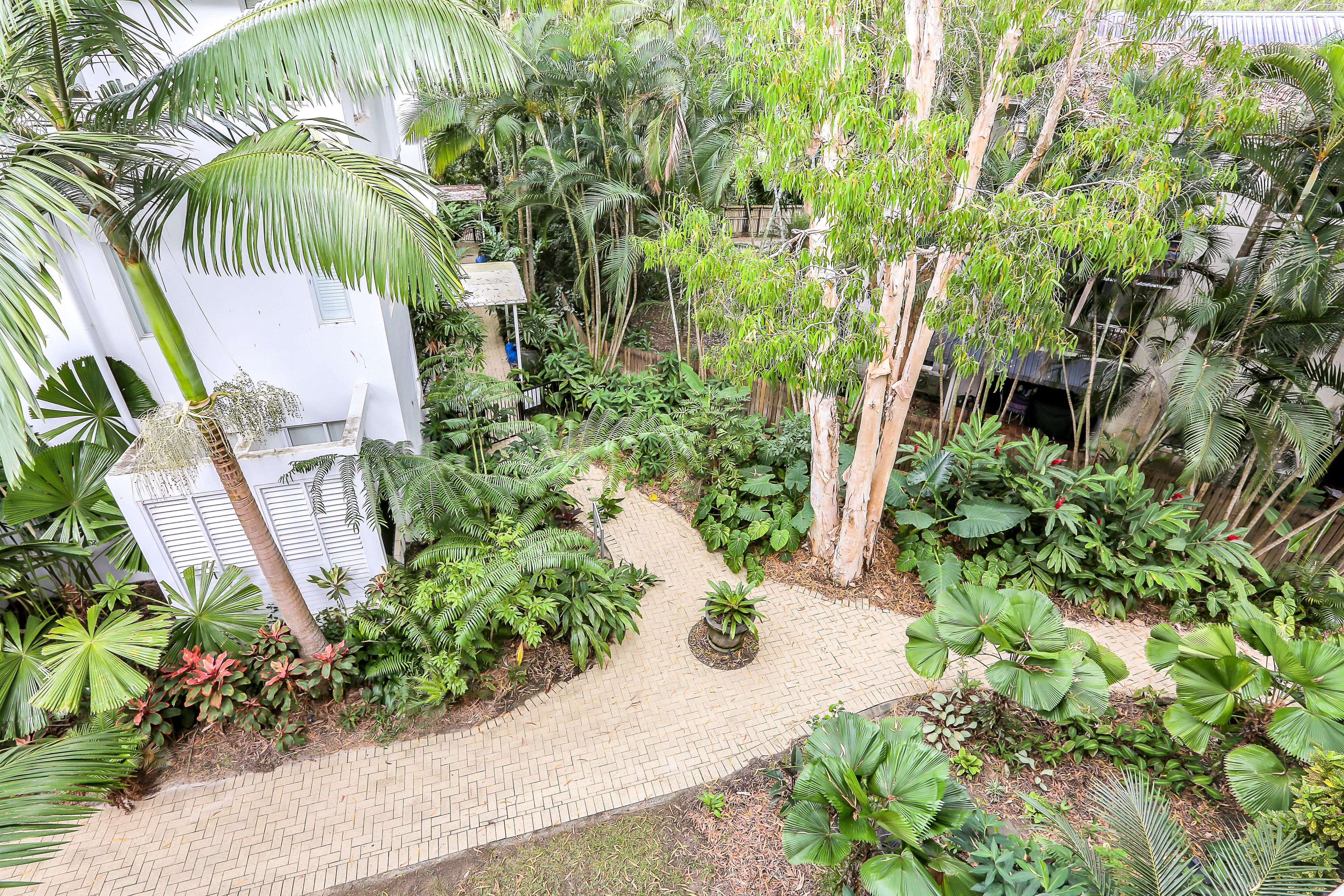 A lush garden with a paved walkway, surrounded by various tropical plants and trees.