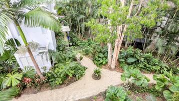 A lush garden with a paved walkway, surrounded by various tropical plants and trees.