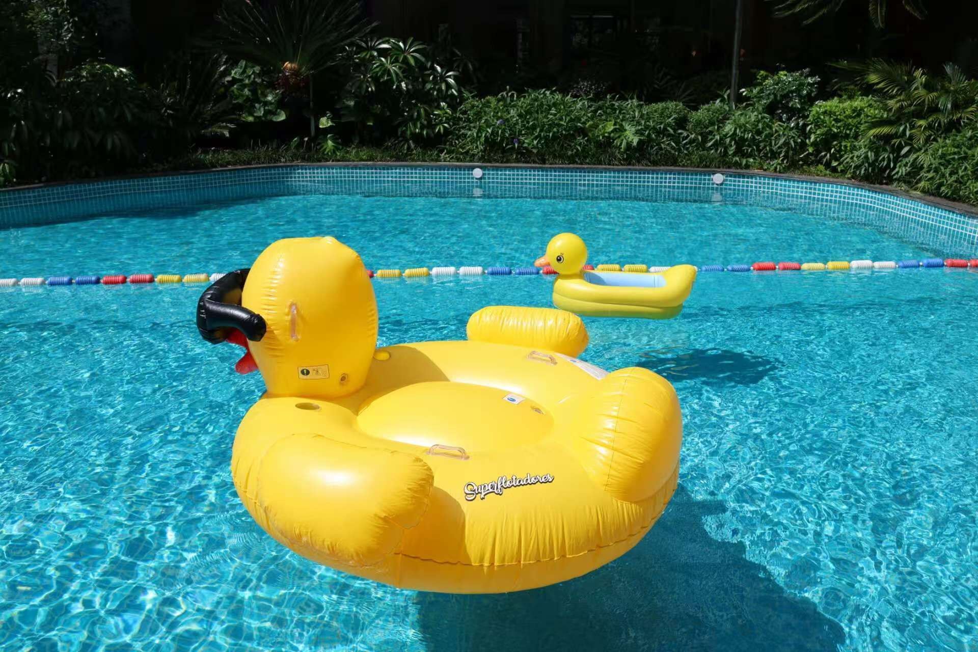 Piscina cubierta
