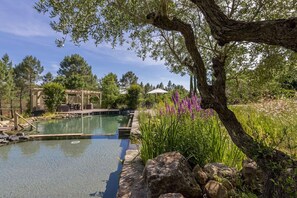 Outdoor pool, a natural pool