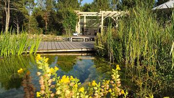 Outdoor pool, a natural pool