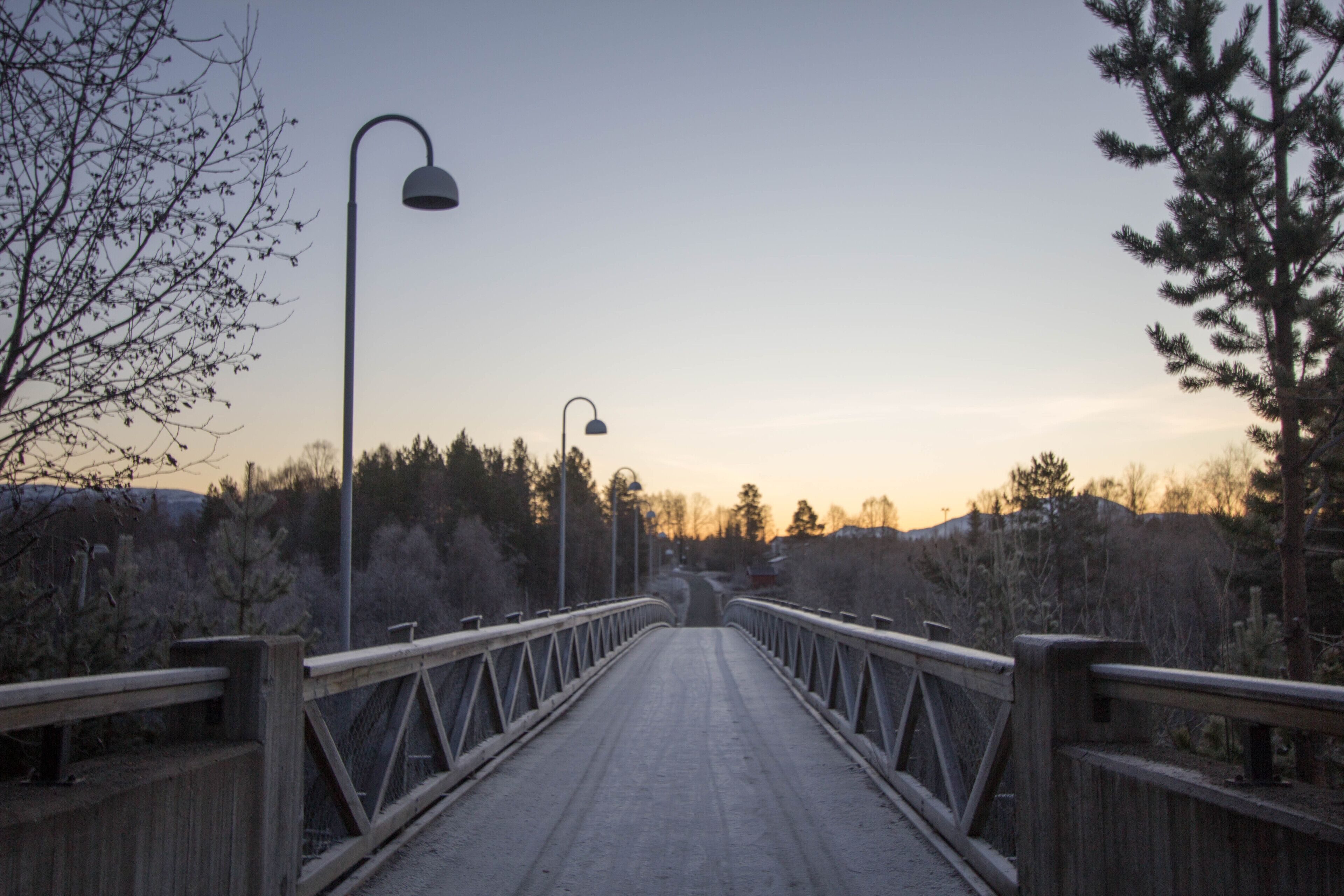 A wooden bridge with metal railings, surrounded by trees and a clear sky.