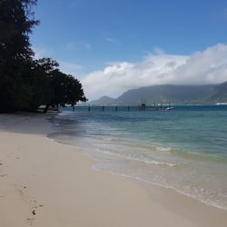 En la playa y bote de remos o canoa