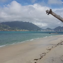 Na praia, prática de remo/canoagem