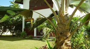 Property grounds - Fairytern Chalets (Cerf Island)
