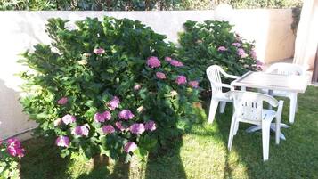 A patio area with a table and chairs, surrounded by a hedge with pink flowers.