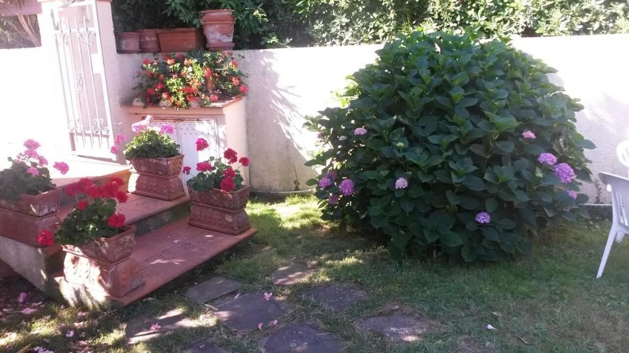 Foto - Hotel Anselmi