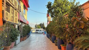 A narrow alley lined with large potted plants and a white van parked in the distance.