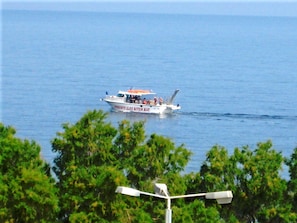 View from room
