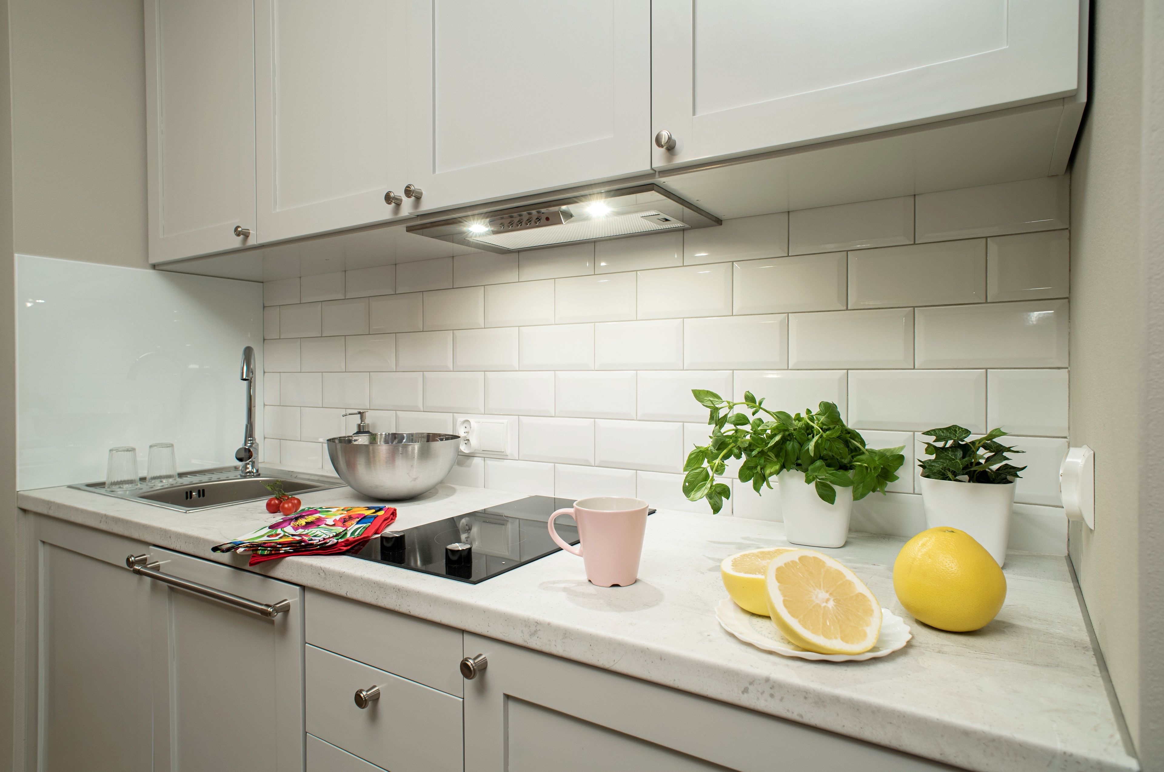 Una cocina con armarios blancos, un lavamanos de acero inoxidable, una placa de inducción moderna y una planta en maceta.