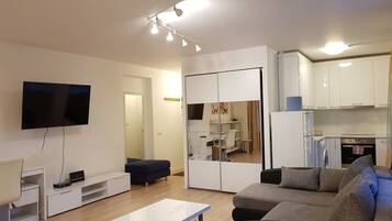 Basic Room | Living area | Flat-screen TV