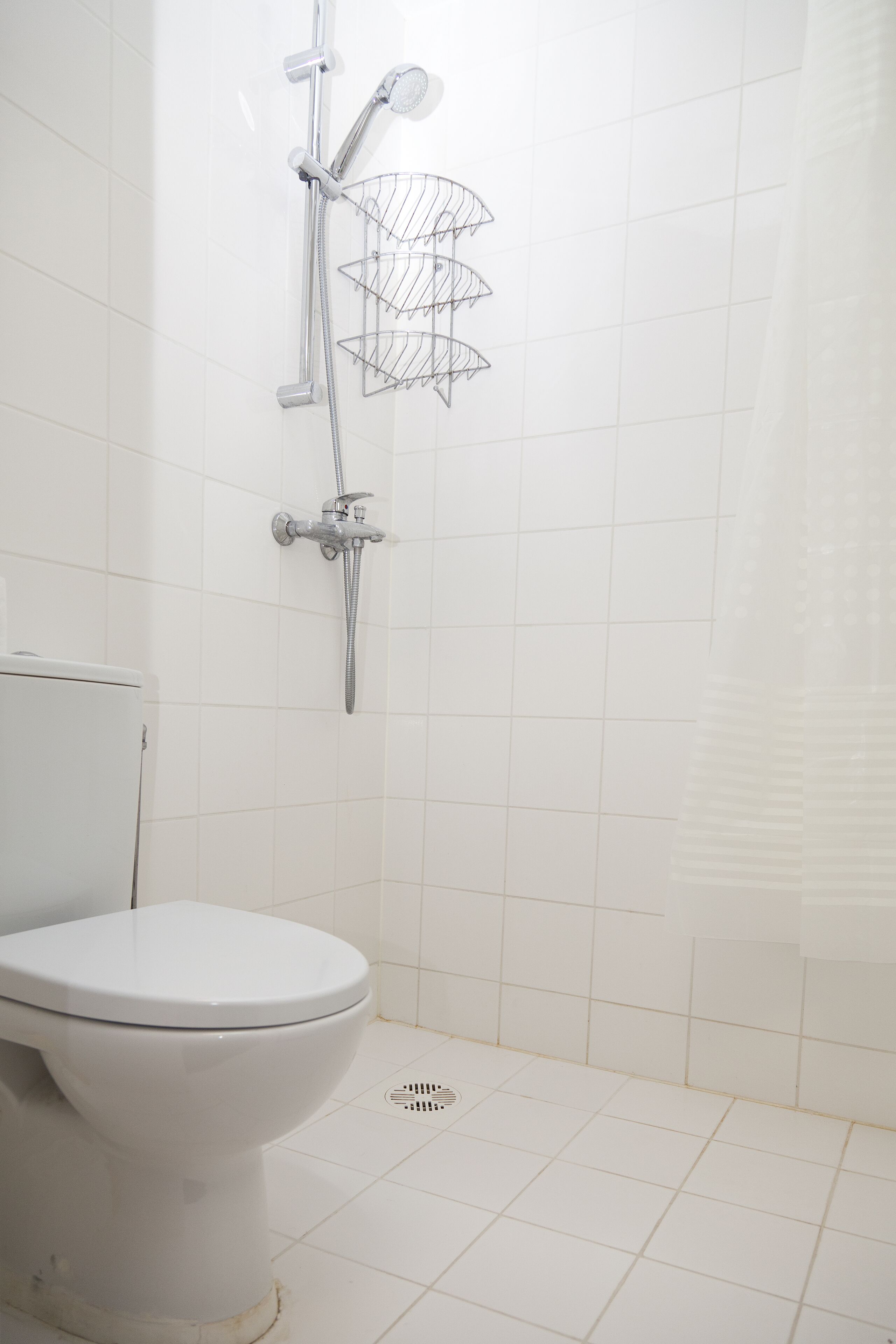 Basic Room | Bathroom shower