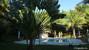 A pool area with a palm tree, lounge chairs, and a thatched-roof building.