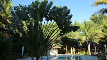 Outdoor pool, open 10:00 AM to 9:00 PM, pool loungers