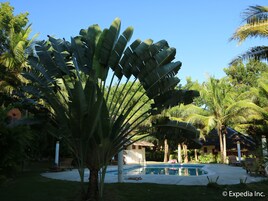 Outdoor pool, open 10:00 AM to 9:00 PM, sun loungers