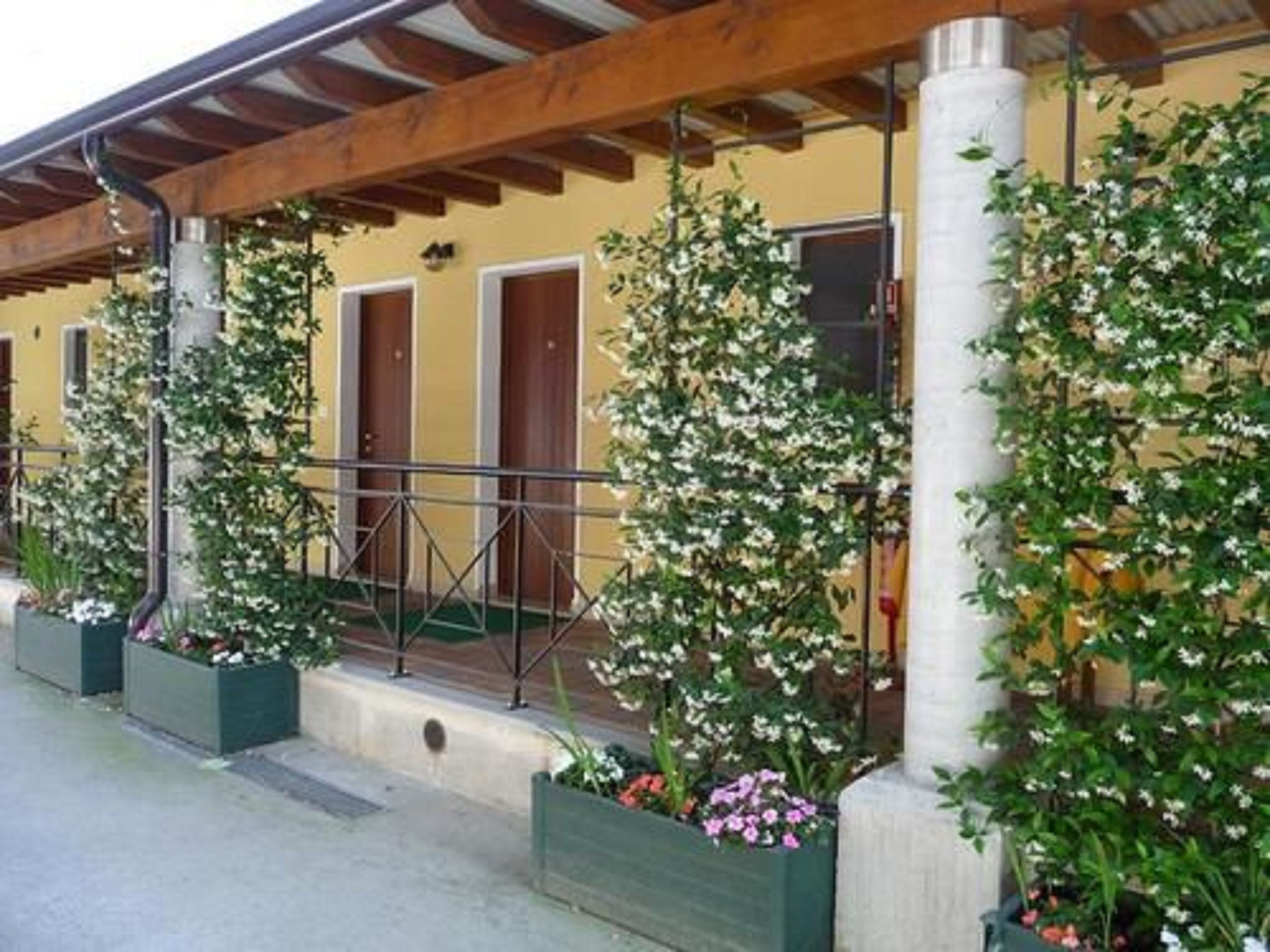 Edifici amb una pèrgola de fusta, una escala i plantes en test amb flors blanques.