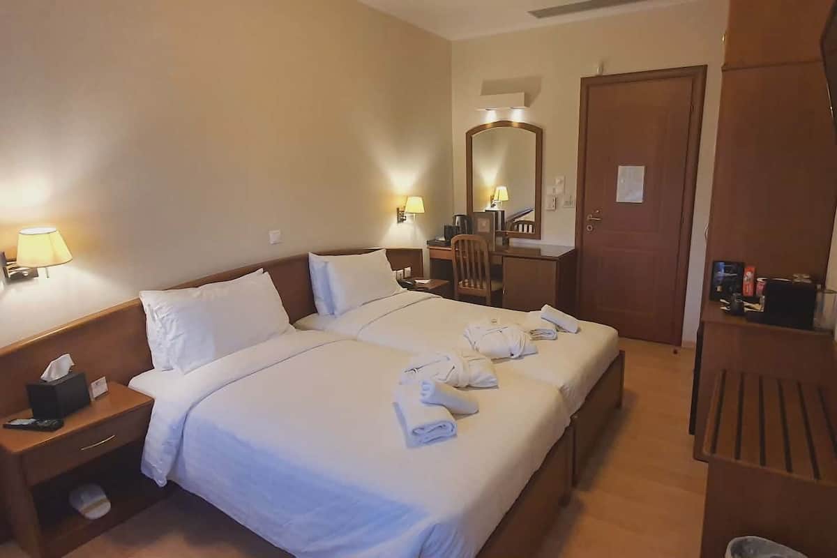 Deluxe Double Room | Egyptian cotton sheets, premium bedding, minibar, in-room safe