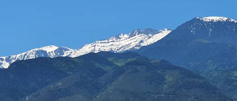 Cordillera con picos nevados y densos valles boscosos.