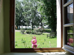 Superior Suite | View from room