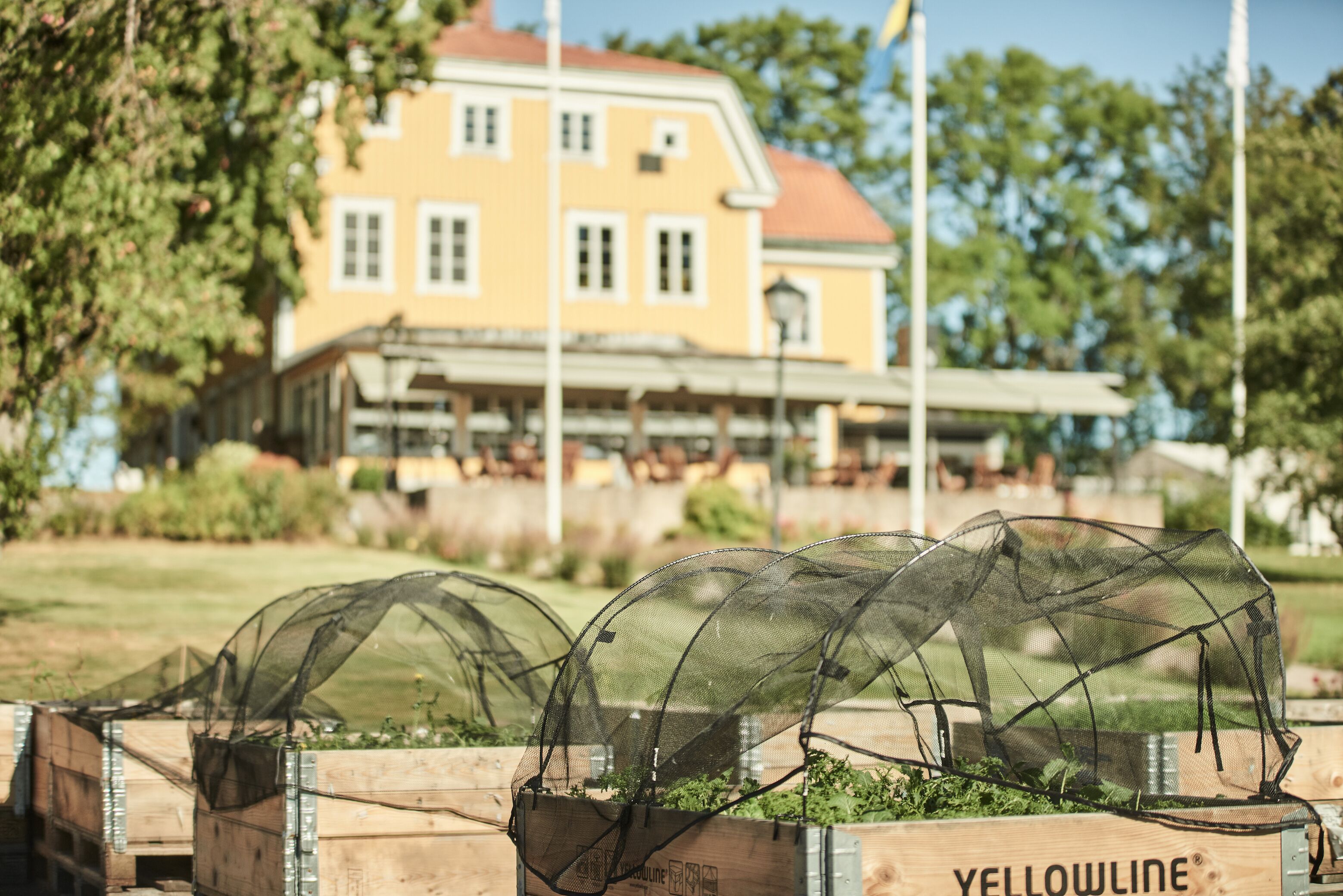 lunch and dinner served, local cuisine