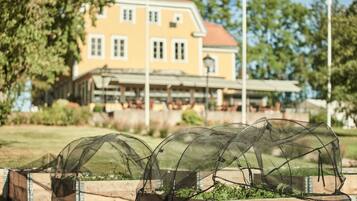 Lunch och middag serveras