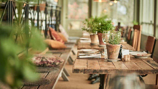 Una mesa de madera rústica con plantas en macetas, un juego de posavasos y una tarjeta de menú.