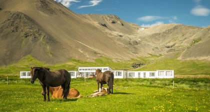 Kast Guesthouse