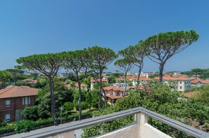 View from property - Hotel Le Ginestre (Pietrasanta)