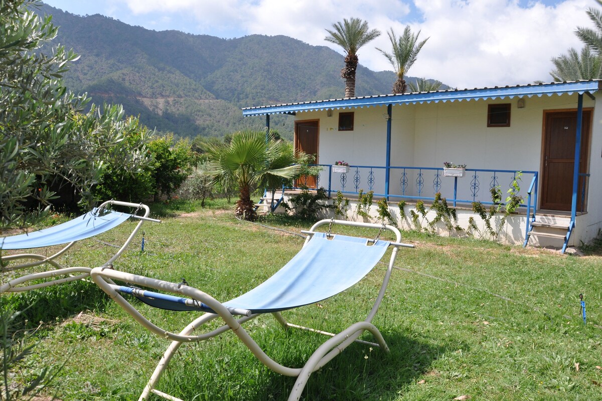 A small house with a blue roof and white walls, surrounded by greenery and mountains.
