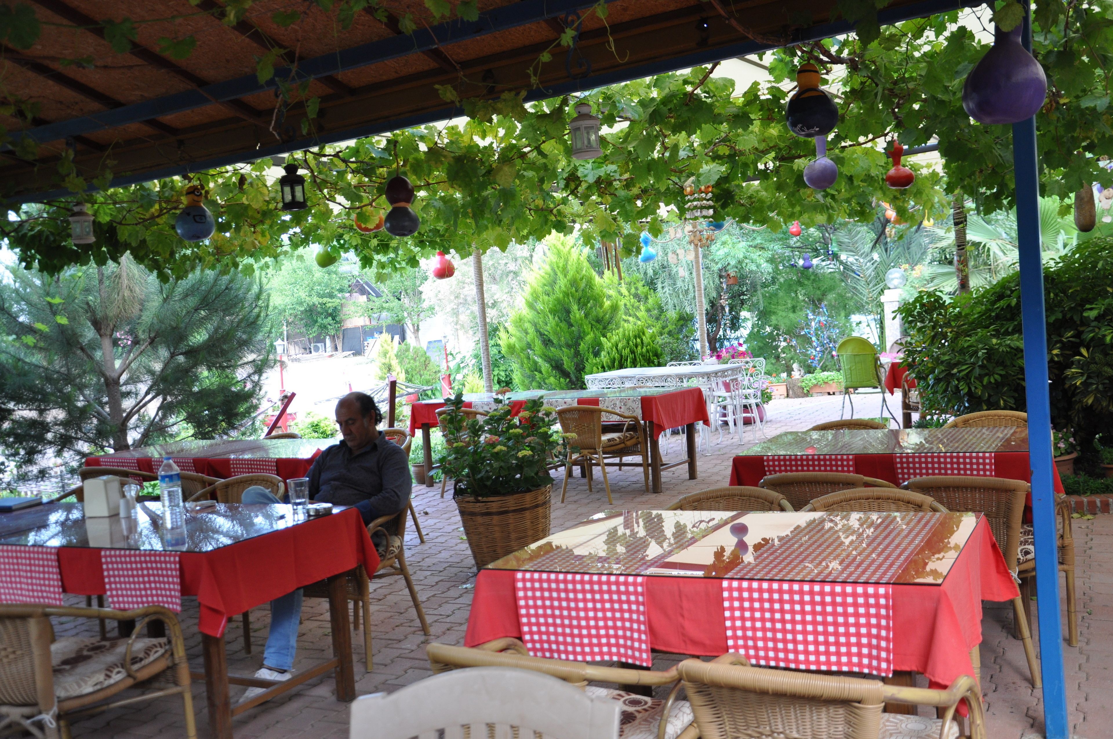 breakfast, lunch and dinner served