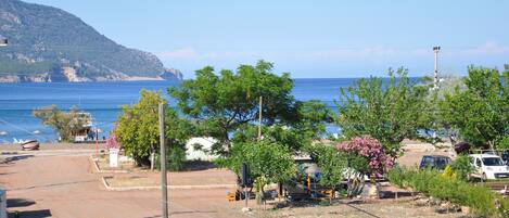 Playa en los alrededores 