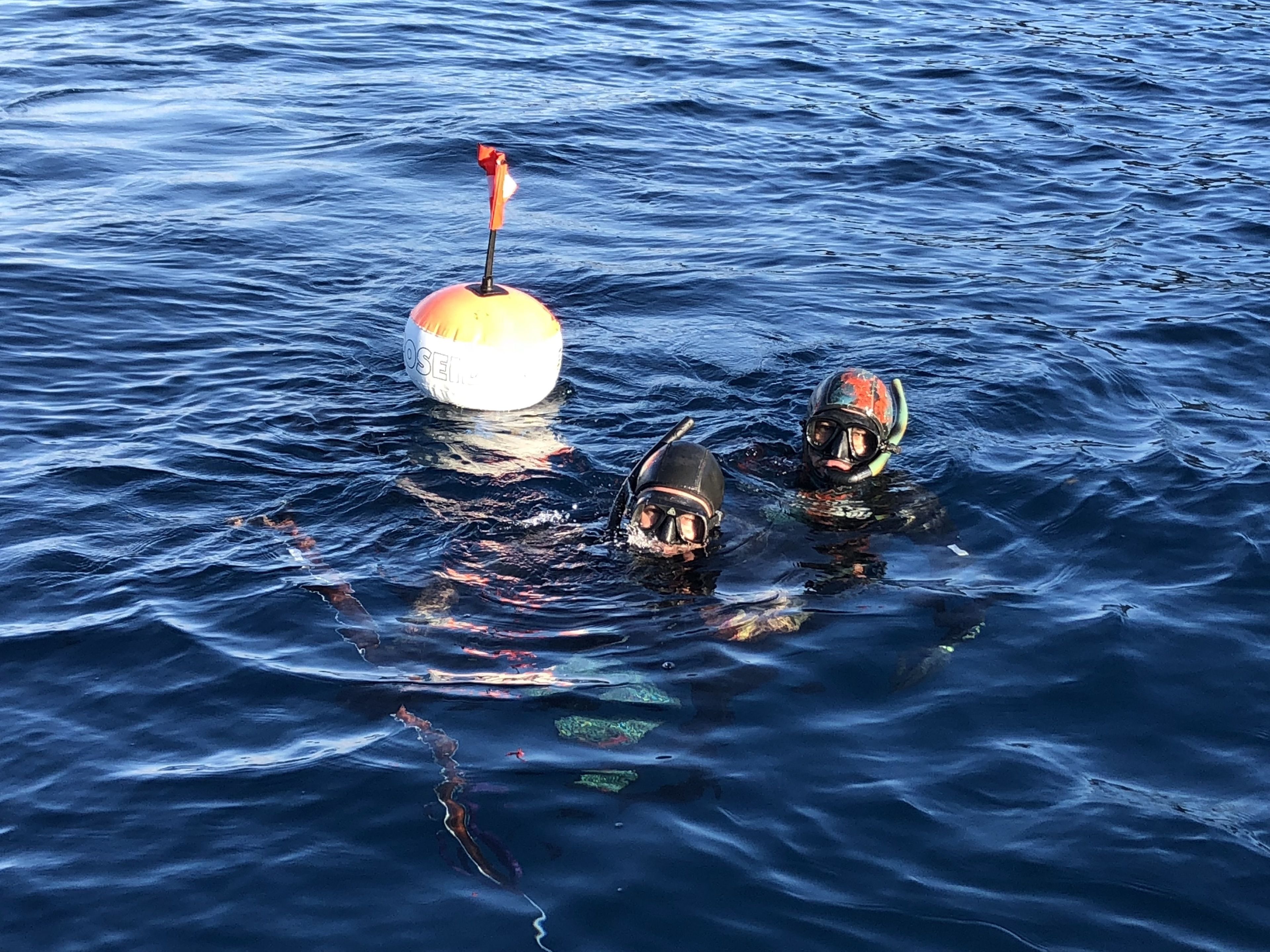 Deux plongeurs dans l’eau, près d’une bouée.