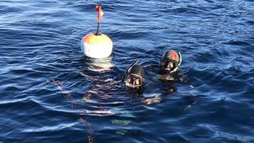 Deux plongeurs dans l’eau, près d’une bouée.