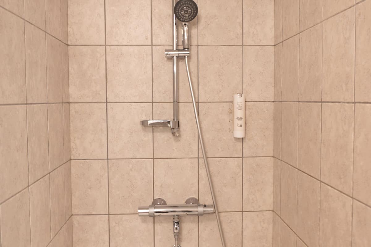 deluxe double room, sauna | bathroom | free toiletries, hair dryer, towels, soap