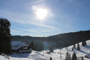 Ski hill - Boutique Hotel Kokoschinski (Feldberg)