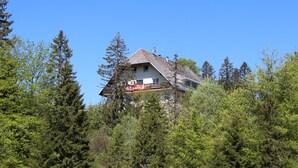 Eksteriør