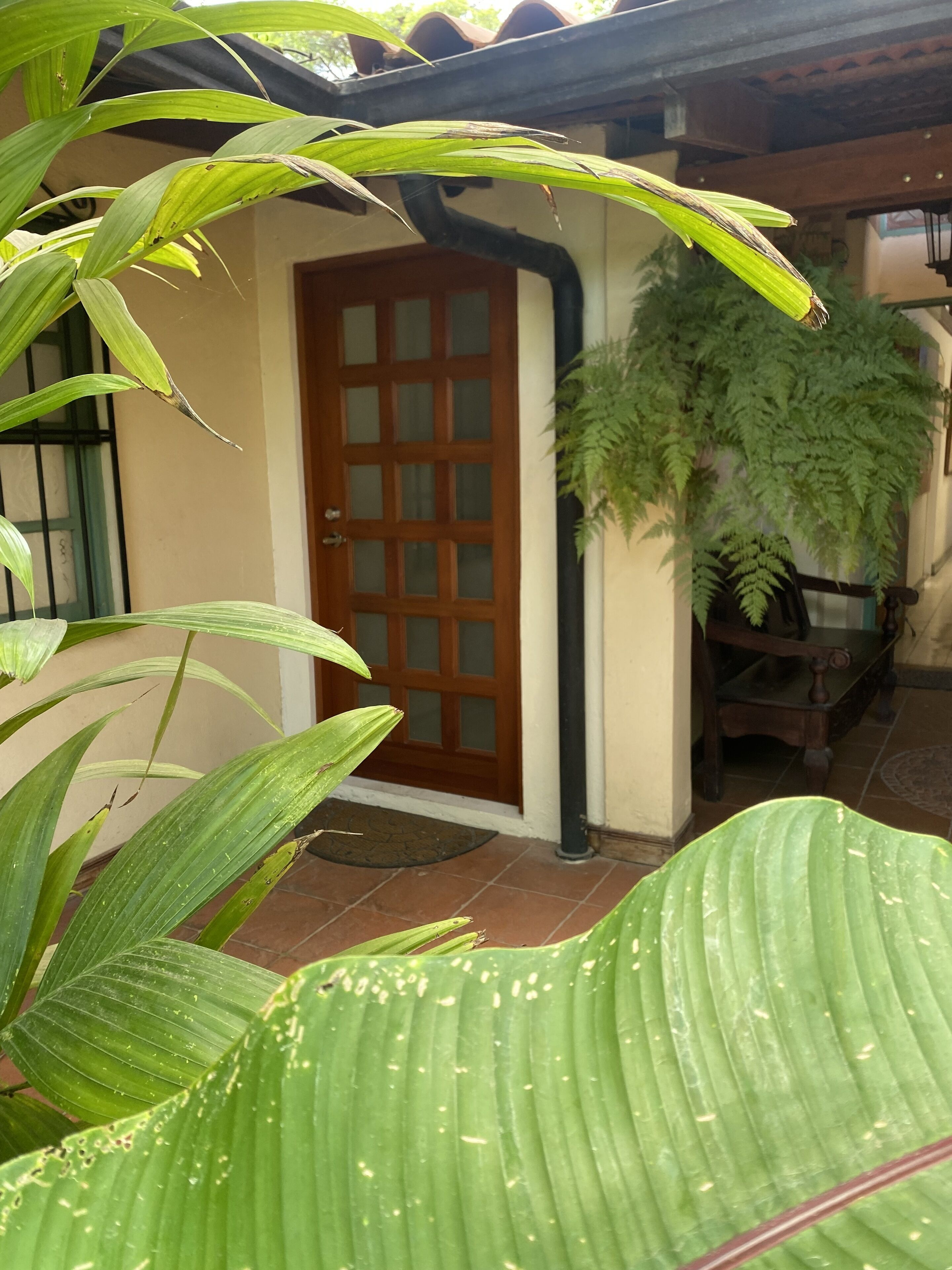 Une maison avec une porte en bois, une plante en pot et un sol carrelé.